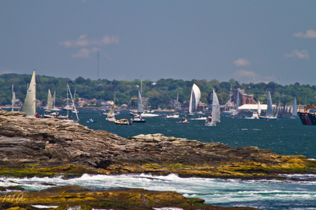 Enlarge photo 73