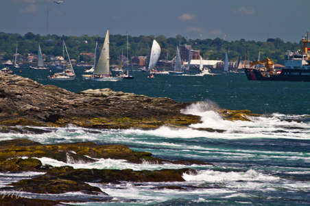 Enlarge photo 74