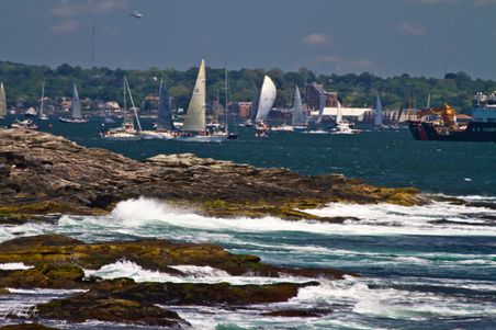Enlarge photo 75