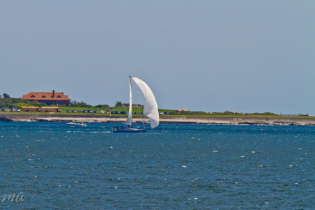 Enlarge photo 80