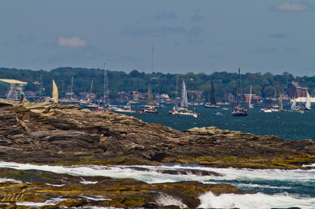 Enlarge photo 85