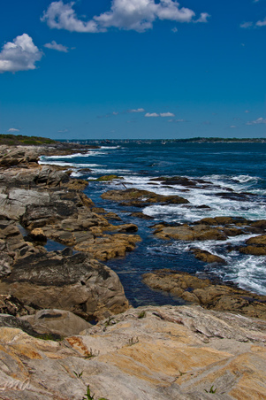 Enlarge photo 91