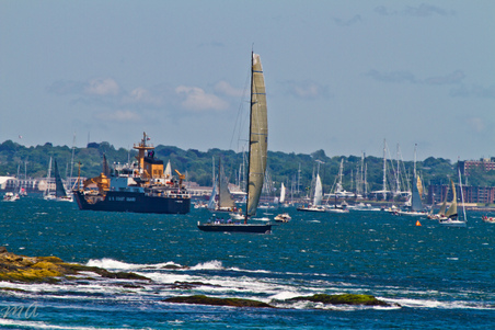 Enlarge photo 97