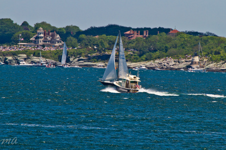 Enlarge photo 102