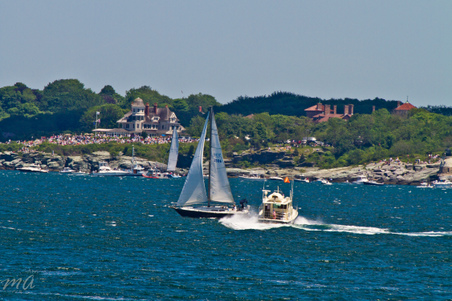 Enlarge photo 103