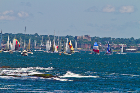 Enlarge photo 104
