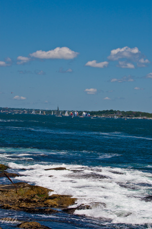 Enlarge photo 105