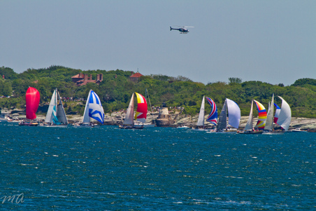 Enlarge photo 106