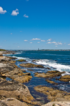 Enlarge photo 113