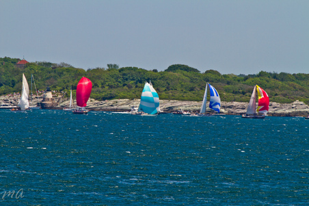Enlarge photo 114