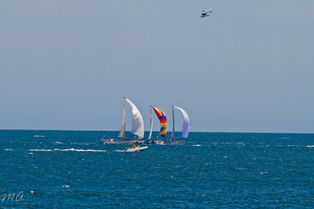 Enlarge photo 116