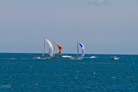 Enlarge photo 118