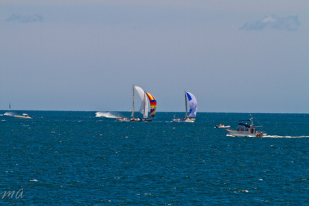 Enlarge photo 119