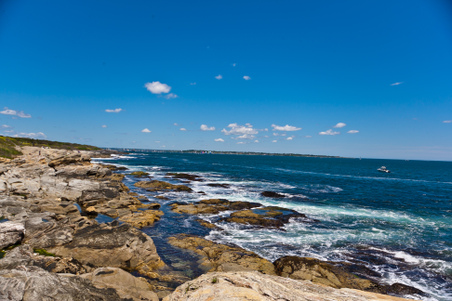 Enlarge photo 120