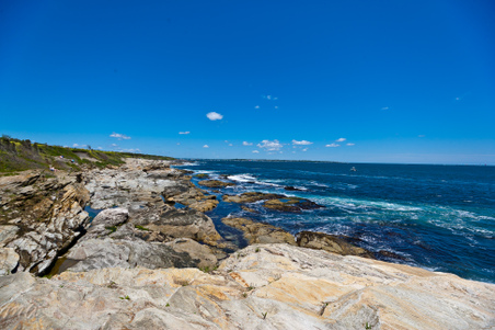 Enlarge photo 121