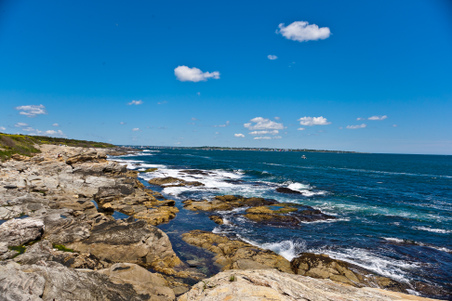 Enlarge photo 124