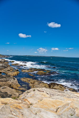 Enlarge photo 126