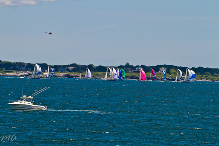 Enlarge photo 128