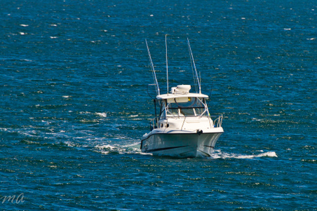 Enlarge photo 129