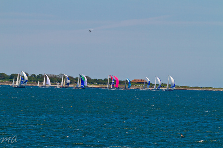 Enlarge photo 131