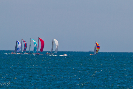 Enlarge photo 132