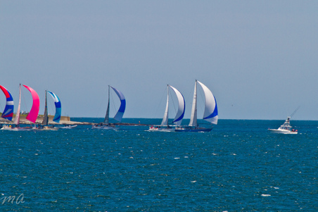 Enlarge photo 133
