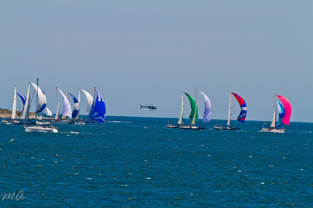 Enlarge photo 134