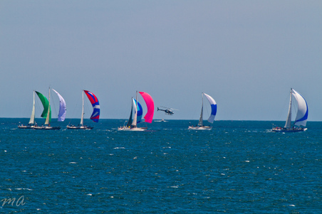Enlarge photo 135