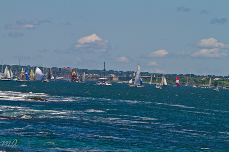 Enlarge photo 139
