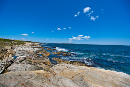 Enlarge photo 141