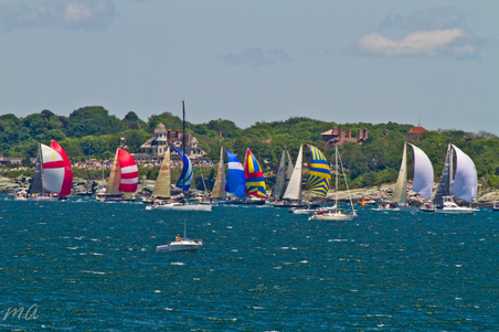 Enlarge photo 144