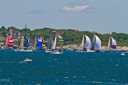 Enlarge photo 145