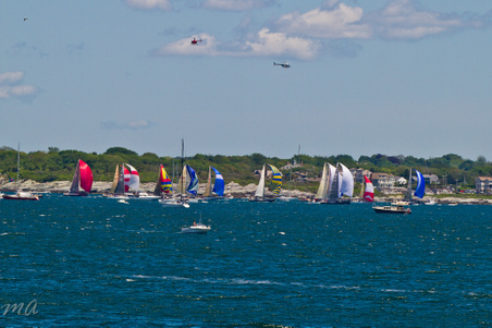 Enlarge photo 146