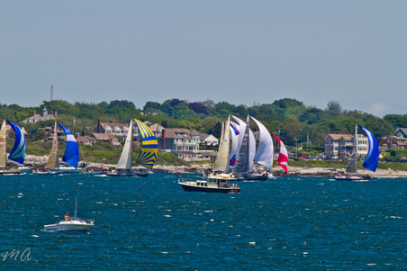 Enlarge photo 147