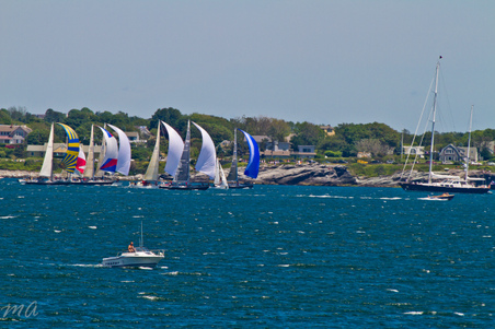 Enlarge photo 148
