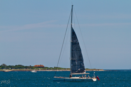 Enlarge photo 149