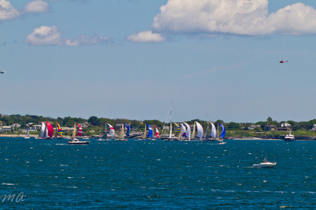 Enlarge photo 151