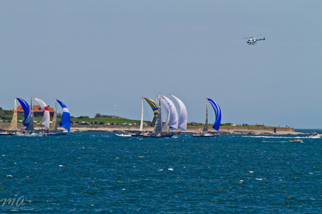Enlarge photo 155