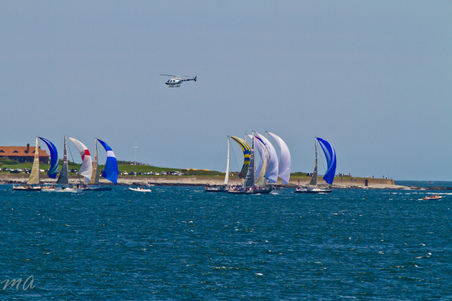 Enlarge photo 156