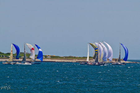 Enlarge photo 157