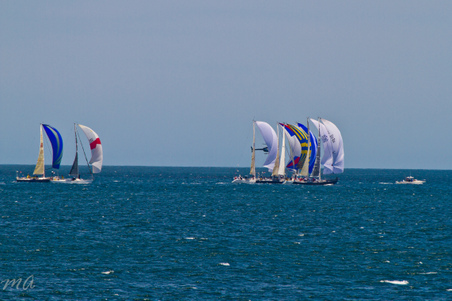 Enlarge photo 159