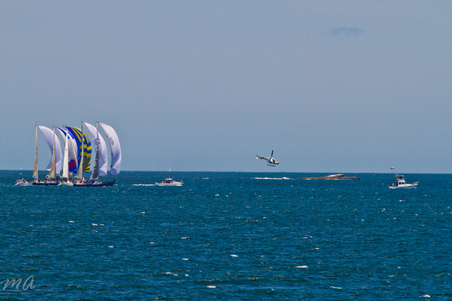 Enlarge photo 161