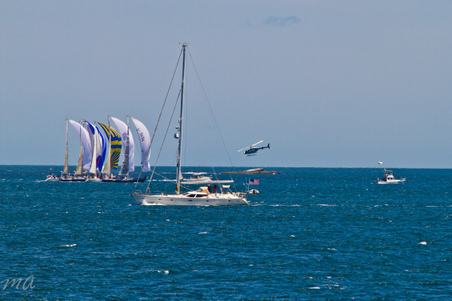 Enlarge photo 162