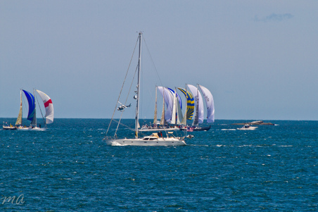 Enlarge photo 163