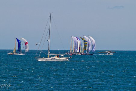Enlarge photo 164