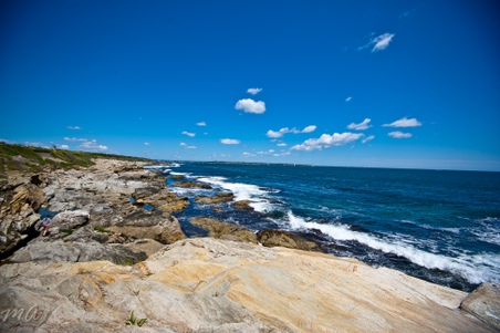 Enlarge photo 165