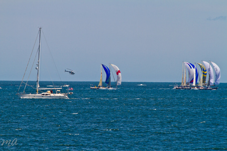 Enlarge photo 166