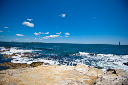 Enlarge photo 167