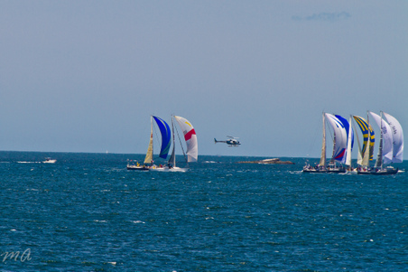 Enlarge photo 169