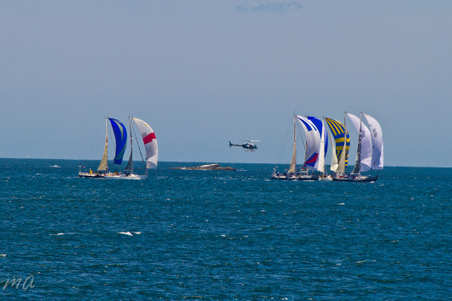 Enlarge photo 170